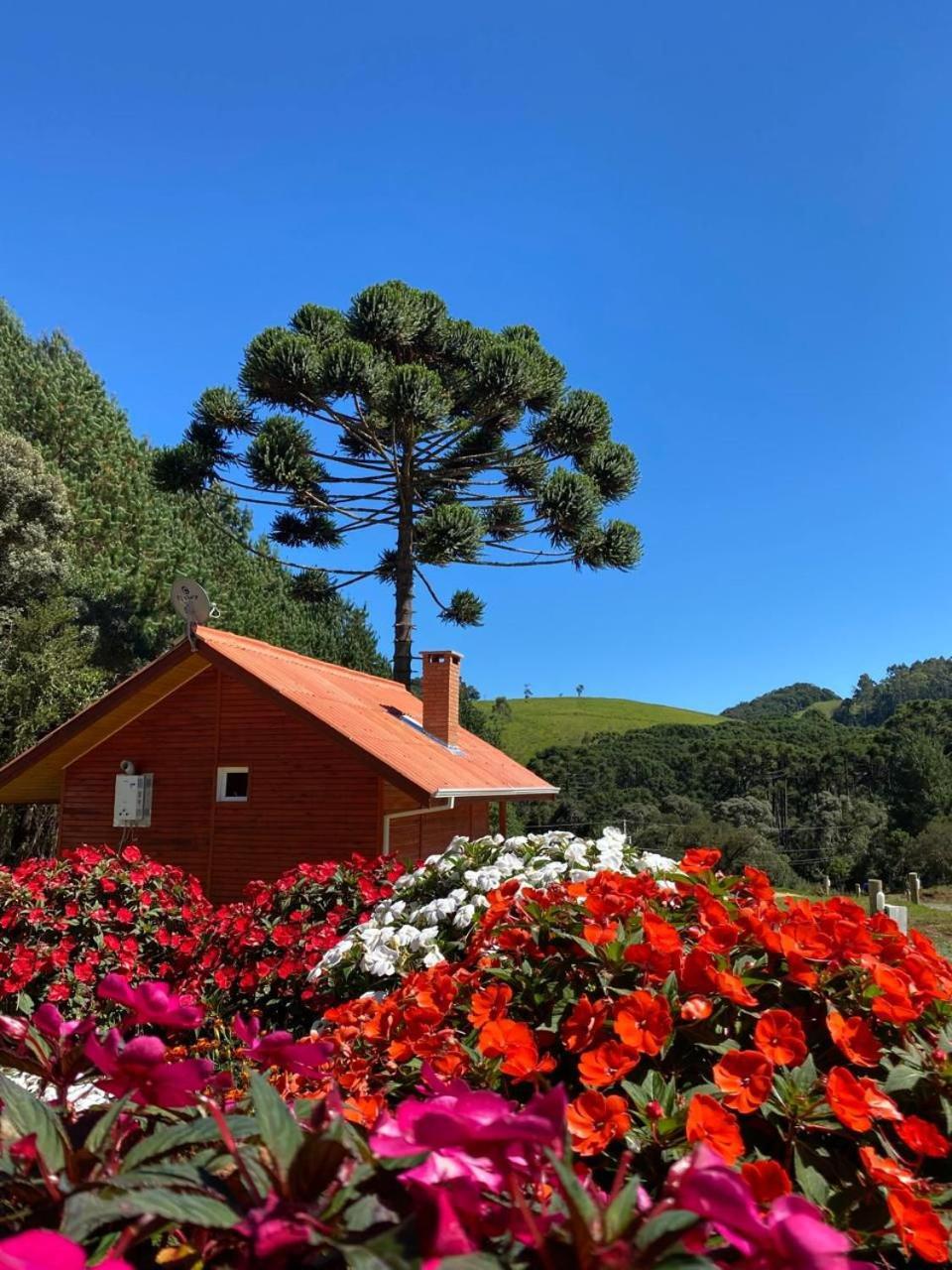 Chales Canto Da Serra Monte Verde (Minas Gerais) Exterior foto